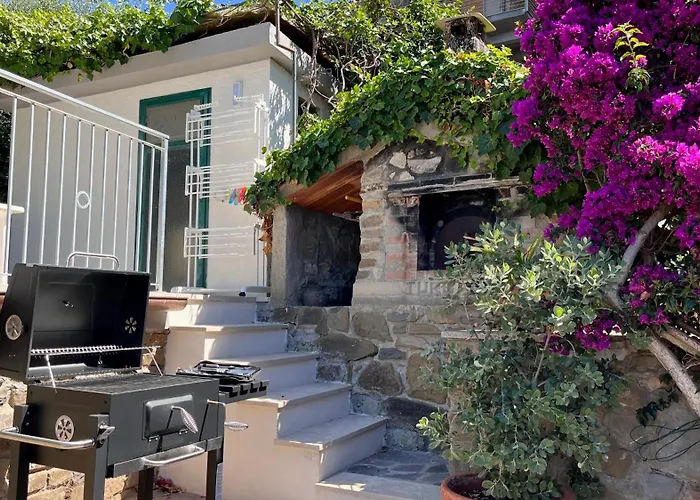 Simonetta Poggio Le Trincee *