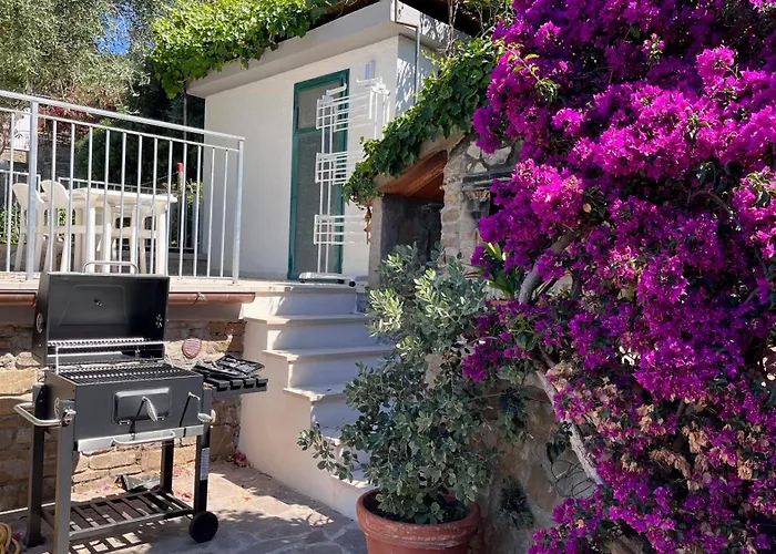 Simonetta Poggio Le Trincee