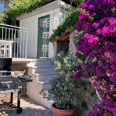 Simonetta Poggio Le Trincee